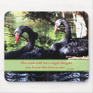 Paare für "Life Black Swans" mit Liebe-Zitat Mousepad