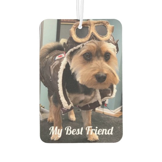 Paare in unserem Hearts Foto Pet Memorial,Custom Autolufterfrischer (Rückseite)