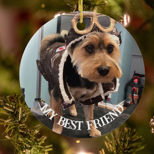 Paare in unserem Hearts Foto Pet Memorial,Custom Keramik Ornament