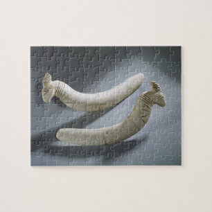 Paare Kastagnetten, Thinite Zeitraum (Hippopotamus Puzzle