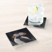 Paare Papageientaucher Glasuntersetzer (Schrägansicht)