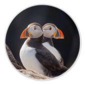 Paare Papageientaucher Keramikknauf (Vorderseite)