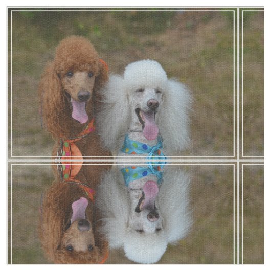 Paare Pudel Stoff (Nahaufnahme)