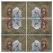 Paare Pudel Stoff (Muster)