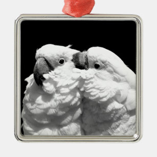 Paare Regenschirm Cockatoos Silbernes Ornament