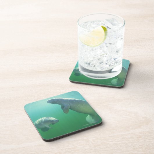 Paare schwimmende Florida-Manatis Untersetzer (Rechte Seite)