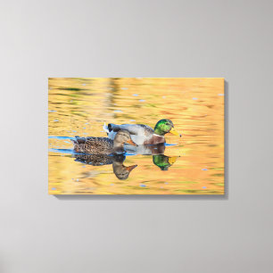 Paare Stockenten Leinwanddruck
