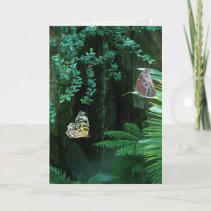 Paare von Schmetterlingen im tropischen Beileid Karte