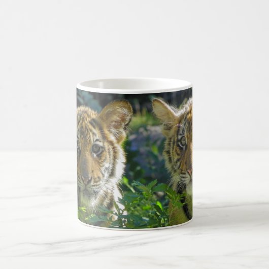 Paare von Tiger-CUB-Porträt Kaffeetasse (Mittel)