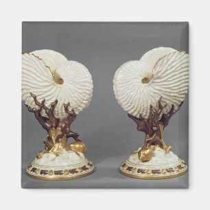 Paare Worcester-Vasen geformt als Nautilus Magnet