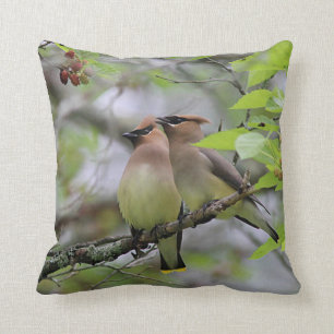 Paare ZederWaxwings Kissen