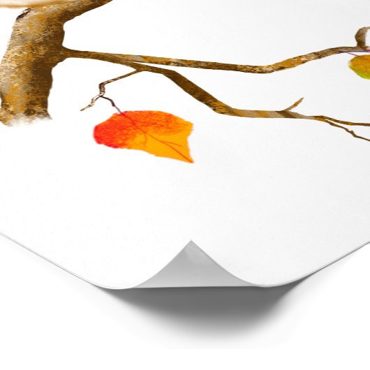 Paarung von Birds-Poster mit Sperma Poster (Ecke)