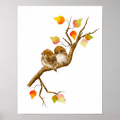 Paarung von Birds-Poster mit Sperma Poster (Vorne)