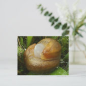 Paarung von Slugs Postkarte (Stehend Vorderseite)