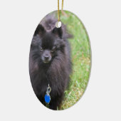Pablo der Spitz Keramik Ornament (Links)