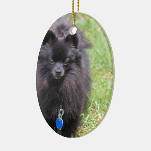 Pablo der Spitz Keramik Ornament (Links)