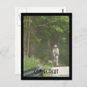 Pachaug Staat Forest, Ct. Postkarte (Vorne/Hinten)