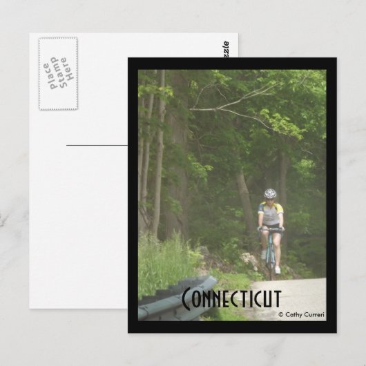 Pachaug Staat Forest, Ct. Postkarte (Vorne/Hinten)