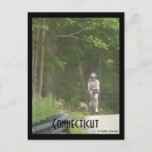 Pachaug Staat Forest, Ct. Postkarte