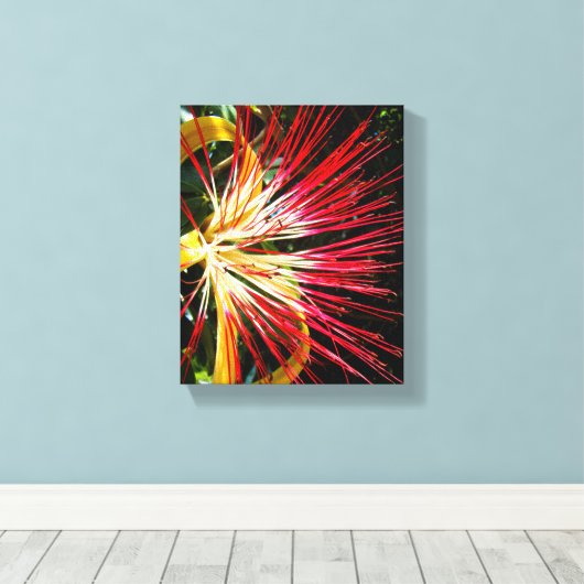 Pachira Aquatica Leinwanddruck (Insitu (Holzboden))