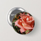 Pachy Rosa Rose Button (Vorne & Hinten)