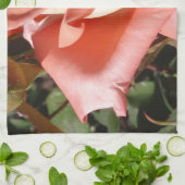 Pachy Rosa Rose Geschirrtuch (Gefaltet)