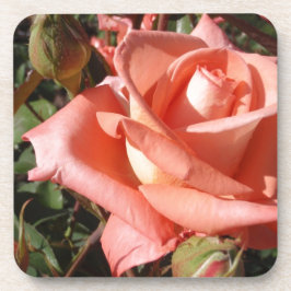 Pachy Rosa Rose Getränkeuntersetzer