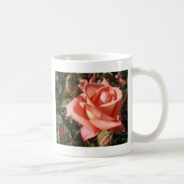 Pachy Rosa Rose Kaffeetasse