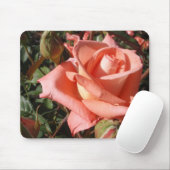 Pachy Rosa Rose Mousepad (Mit Mouse)