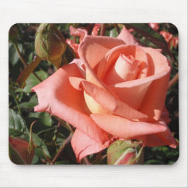 Pachy Rosa Rose Mousepad