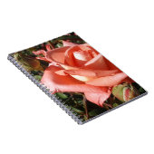 Pachy Rosa Rose Notizblock (Rechte Seite)