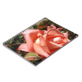 Pachy Rosa Rose Notizblock (Linke Seite)