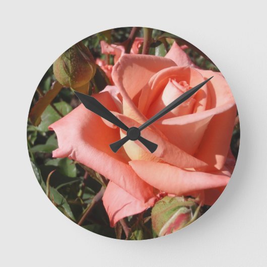 Pachy Rosa Rose Runde Wanduhr (Vorderseite)