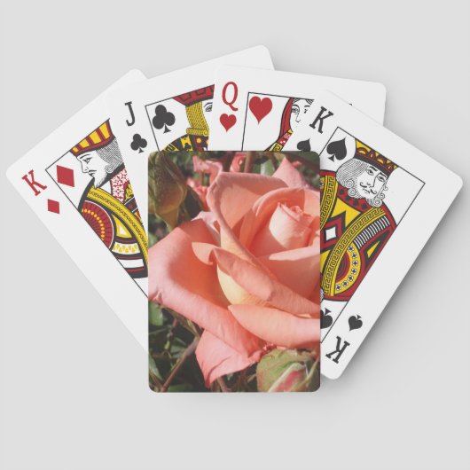 Pachy Rosa Rose Spielkarten (Rückseite)