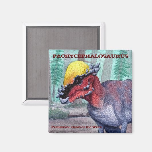Pachycephalosaurus Magnet (Vorderseite/Rückseite)