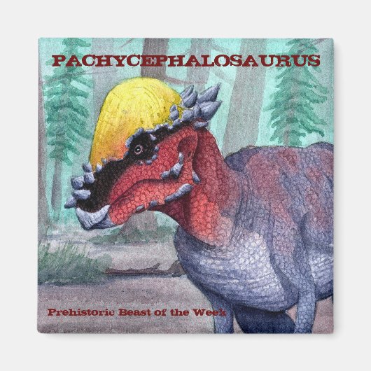 Pachycephalosaurus Magnet (Vorne)