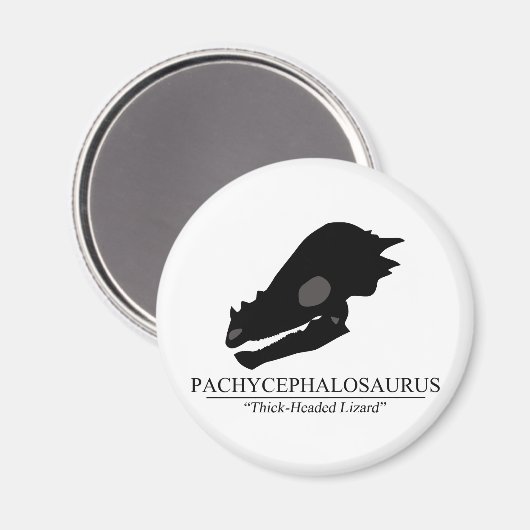 Pachycephalosaurus Skull Magnet (Vorderseite/Rückseite)