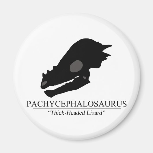 Pachycephalosaurus Skull Magnet (Vorne)