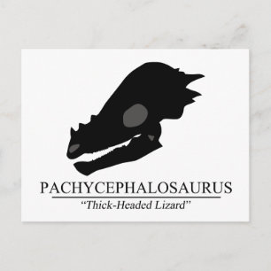 Pachycephalosaurus Skull Postkarte