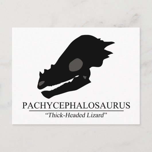 Pachycephalosaurus Skull Postkarte (Vorderseite)