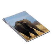 Pachyderm-Notizbuch Notizblock (Rechte Seite)
