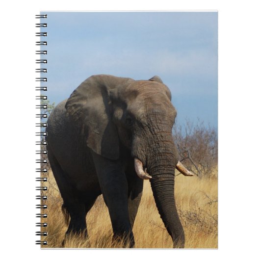 Pachyderm-Notizbuch Notizblock (Vorderseite)