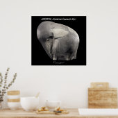 Pachyderm Poster (Küche)