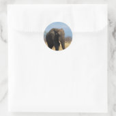 Pachyderm Stickers (Tasche)
