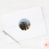Pachyderm Stickers (Umschlag)