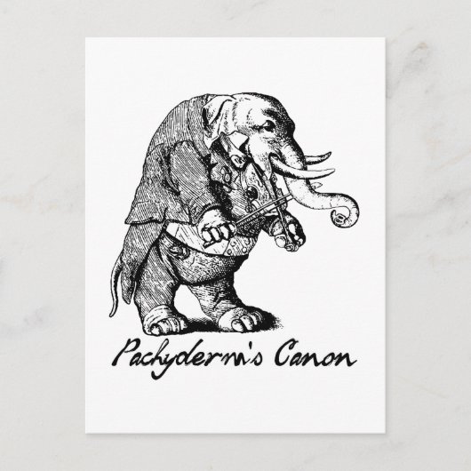 Pachyderms Canon Violine spielt Elephant Fiddle Postkarte (Vorderseite)
