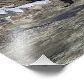 Pachyrhinosaurus dinosaurier laufen - 3D rendern Fotodruck (Ecke)