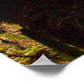 Pacic Northwest Print, Value Poster Paper (Matte) (Ecke)