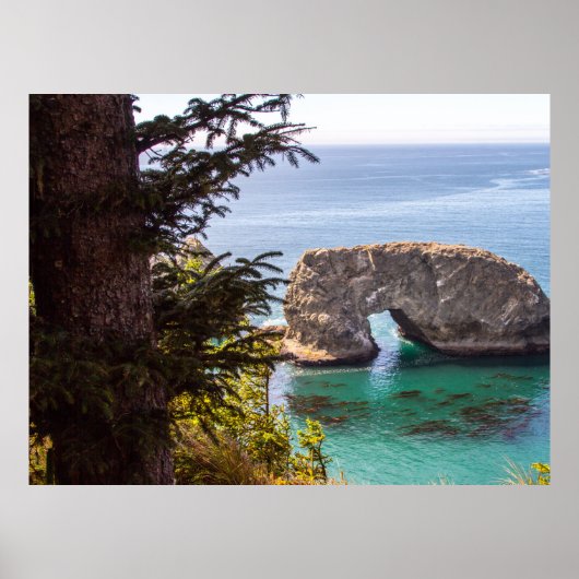 Pacic Northwest Print, Value Poster Paper (Matte) (Vorne)