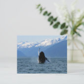 Pacific Ballet Postkarte (Stehend Vorderseite)